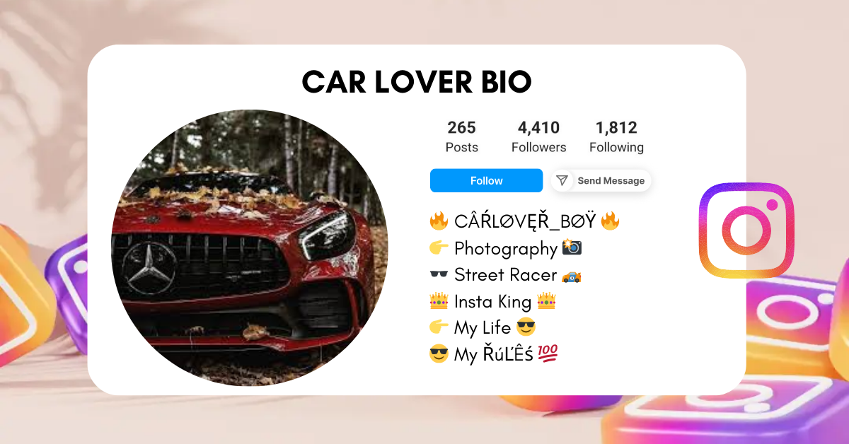 Car-Lover-Instagram-Bio