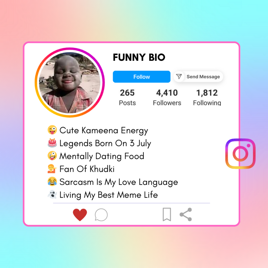 Funny Instagram Bio