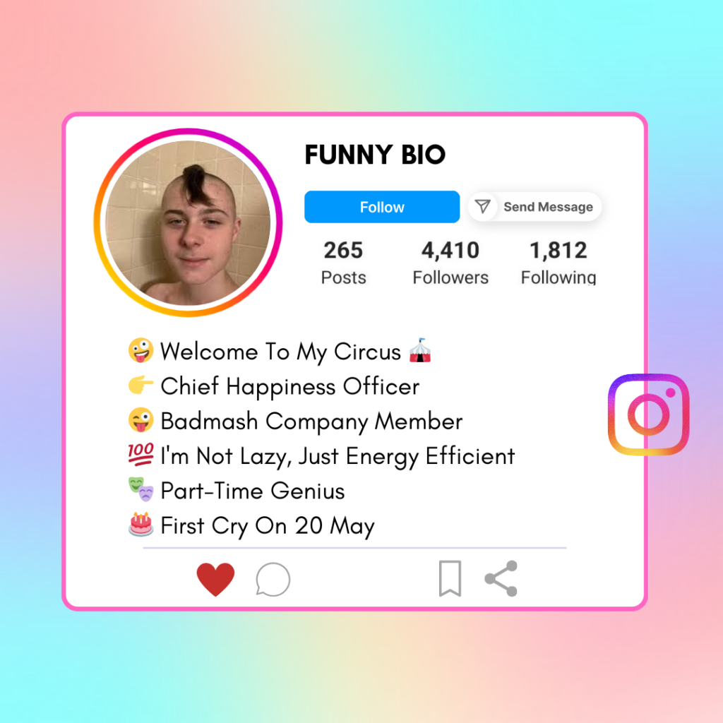 Funny Instagram Bio