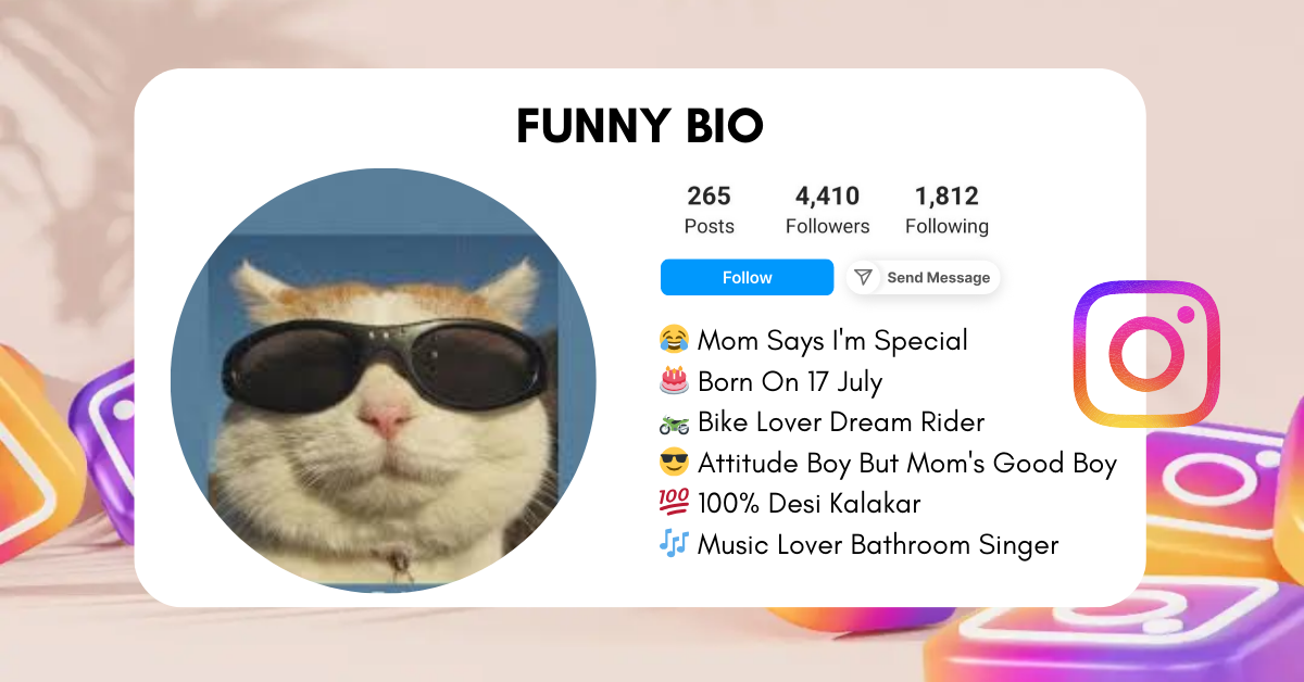 Funny Instagram Bio