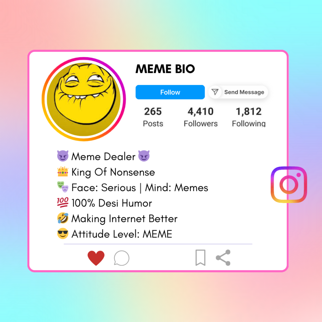 Meme Instagram Bio