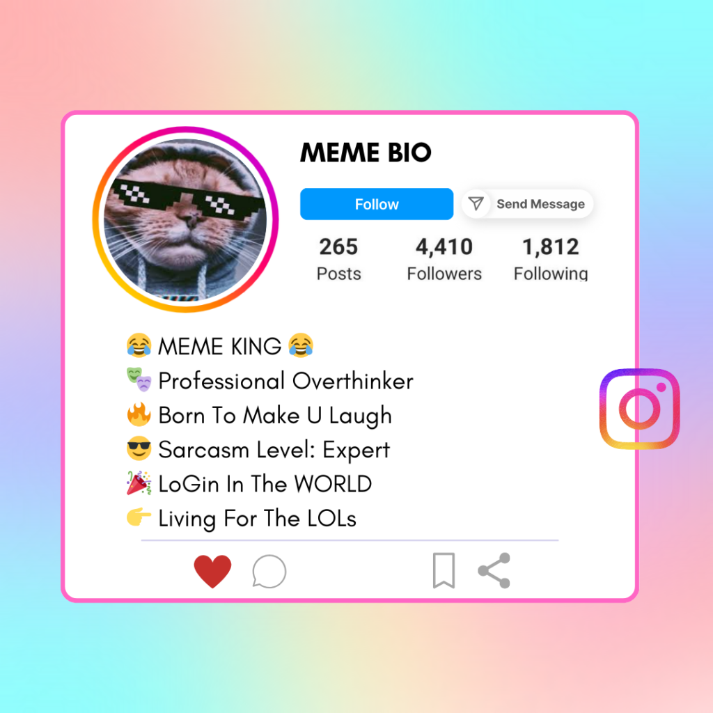 Meme Instagram Bio