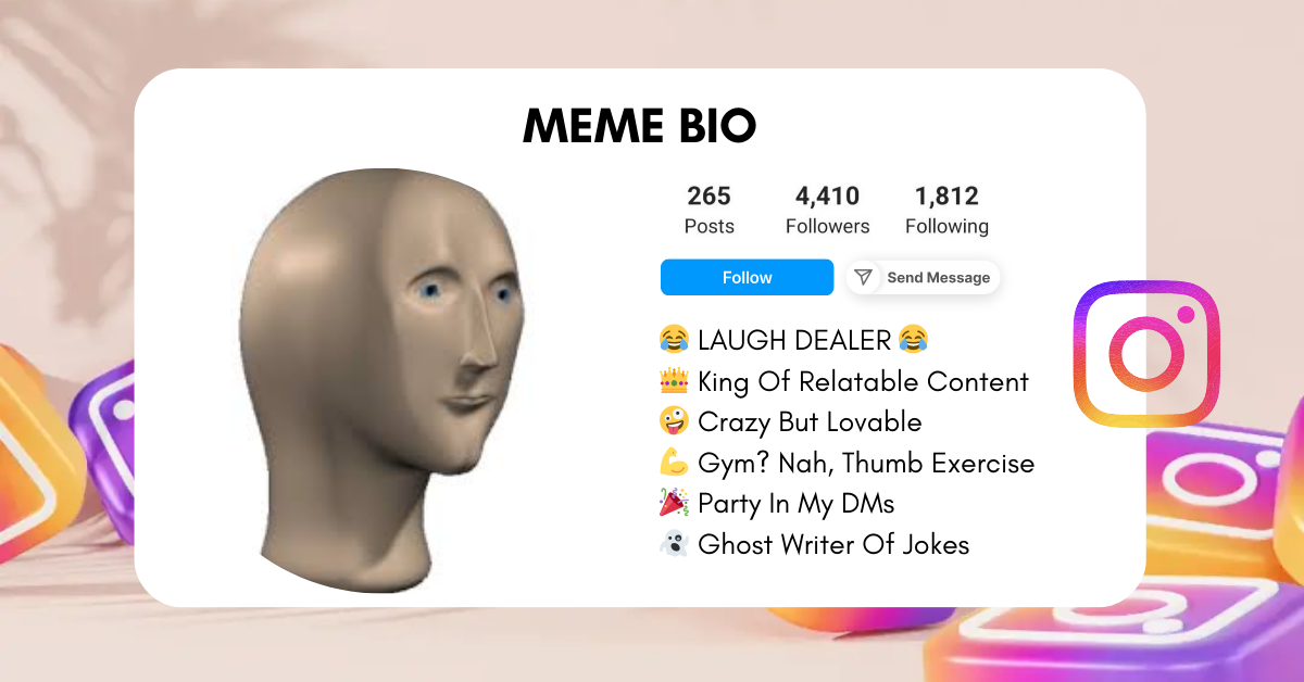 Meme Instagram Bio