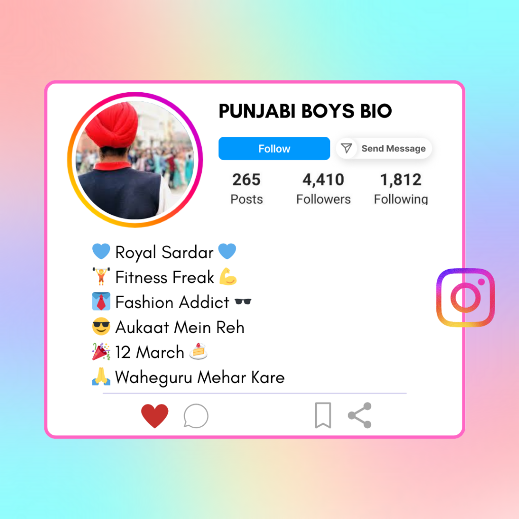 Punjabi-Boys-Instagram-Bio