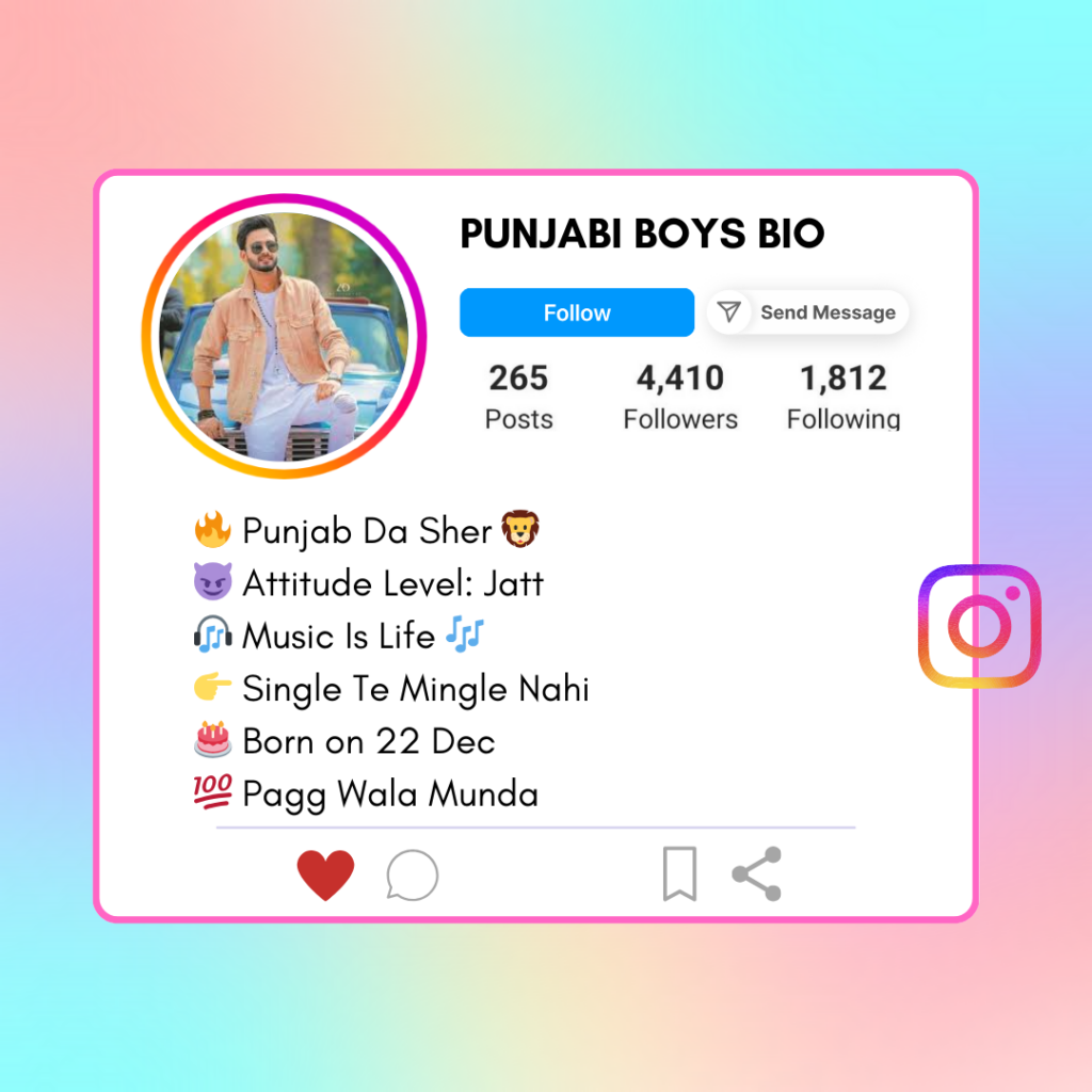Punjabi-Boys-Instagram-Bio