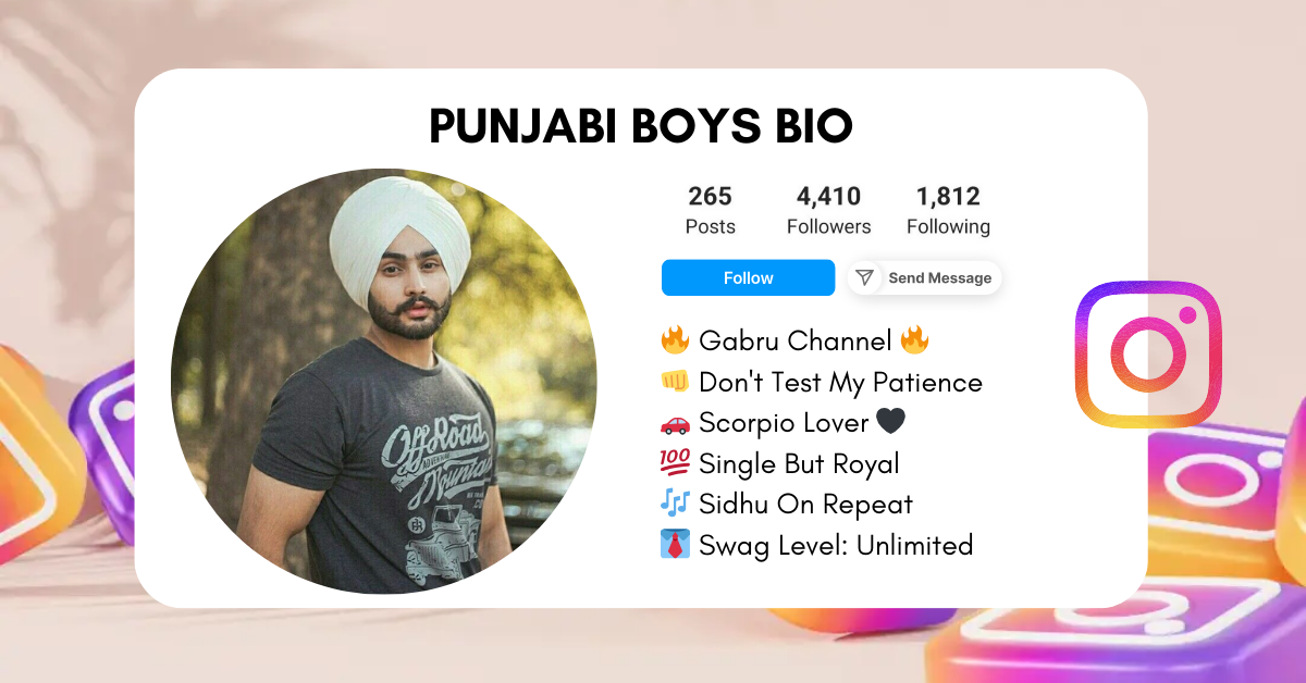 Punjabi-Boys-Instagram-Bio