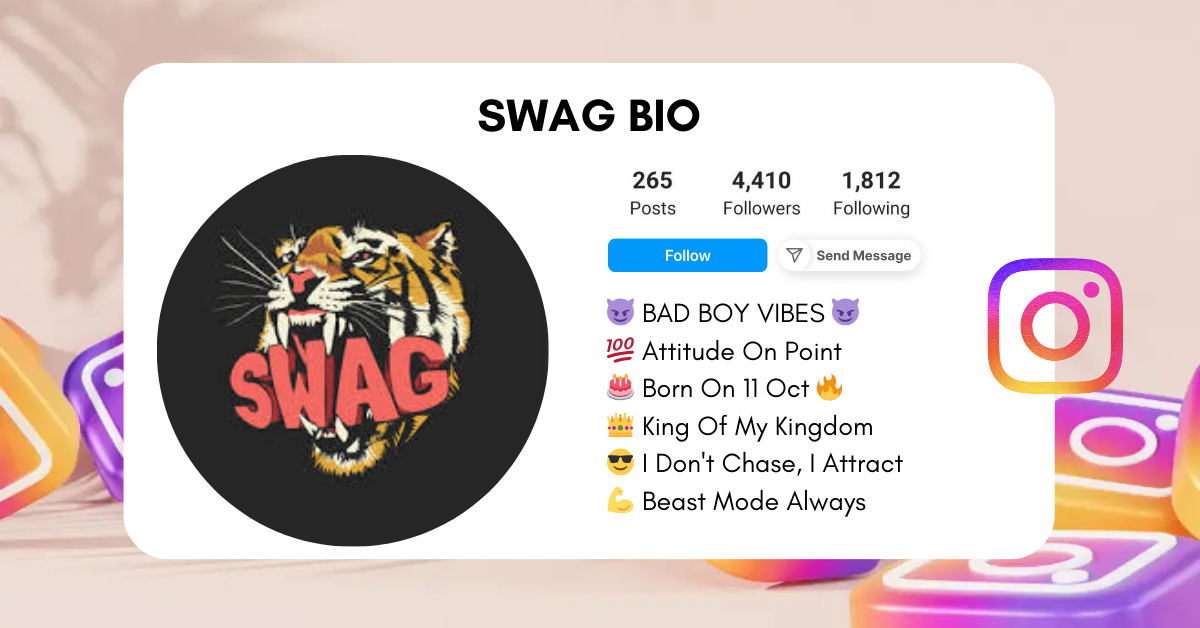 Swag-Instagram-Bio