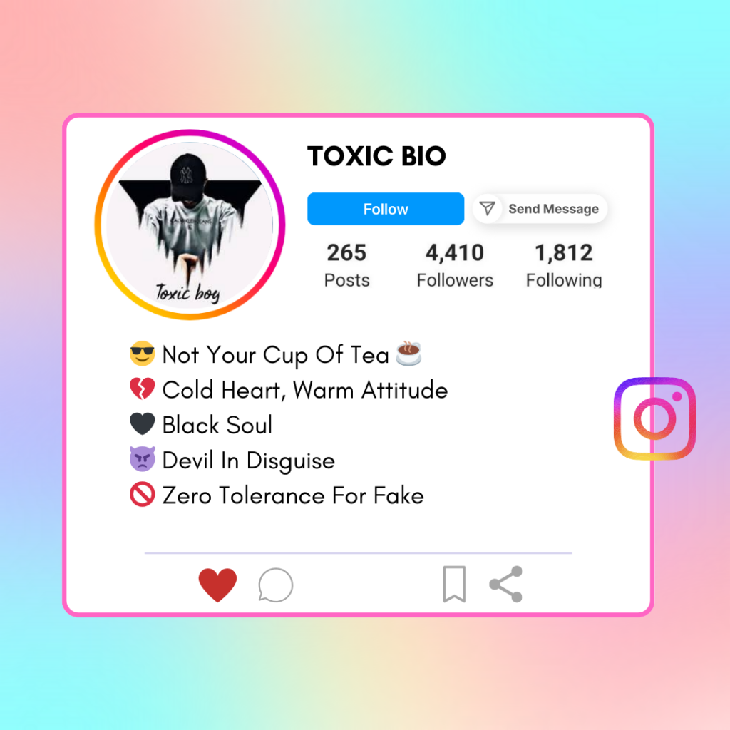 Toxic-Instagram-Bio